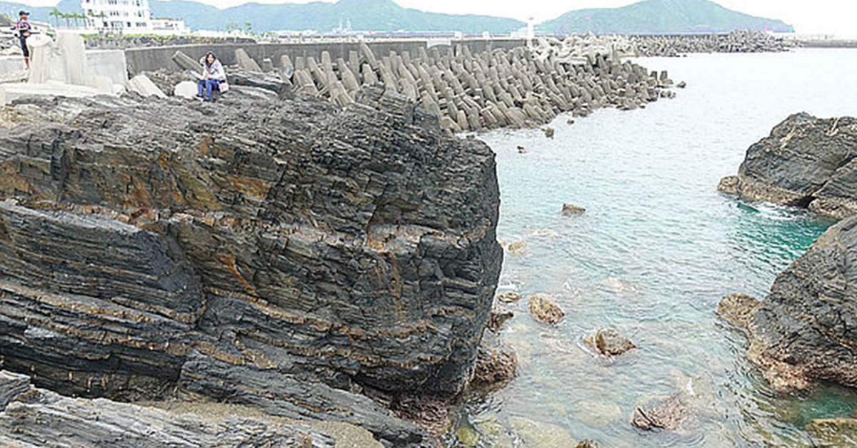 富邦人壽 保險手札